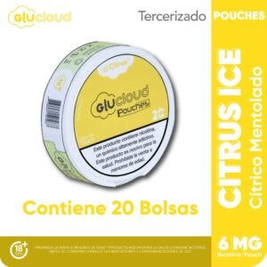 Pouches Citrus Ice 6MG