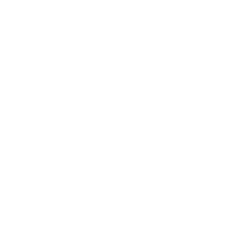 Tequila - Don Julio Ceniza