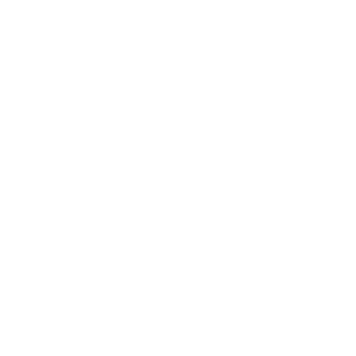 Tequila - Don Julio Ceniza