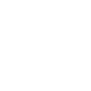 Tequila - Don Julio Ceniza